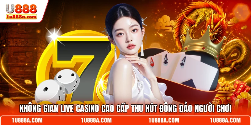 Không gian live casino cao cấp thu hút đông đảo người chơi