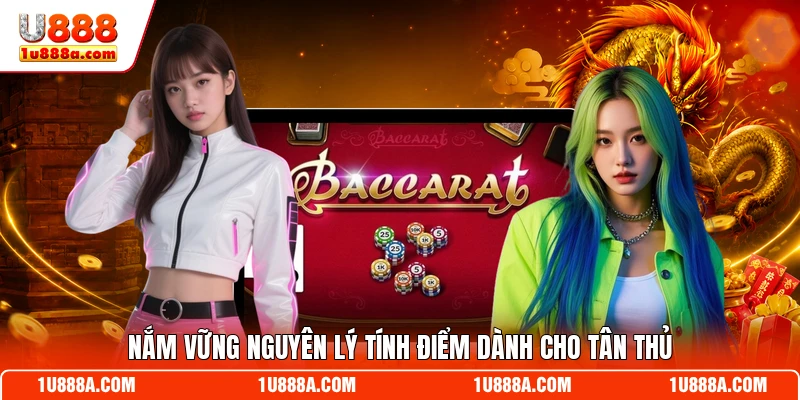 Nắm vững nguyên lý tính điểm dành cho tân thủ