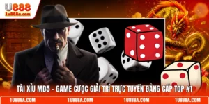 Tài Xỉu MD5 - Game Cược Giải Trí Trực Tuyến Đẳng Cấp Top #1