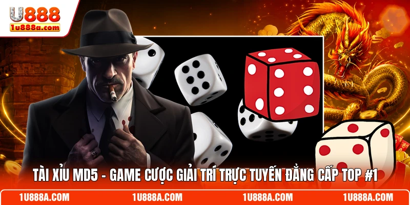 Tài Xỉu MD5 - Game Cược Giải Trí Trực Tuyến Đẳng Cấp Top #1