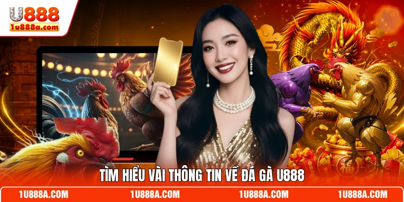 Tìm hiểu vài thông tin về đá gà U888